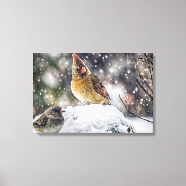 I've Got my Eye on You! Canvas Print (Front)