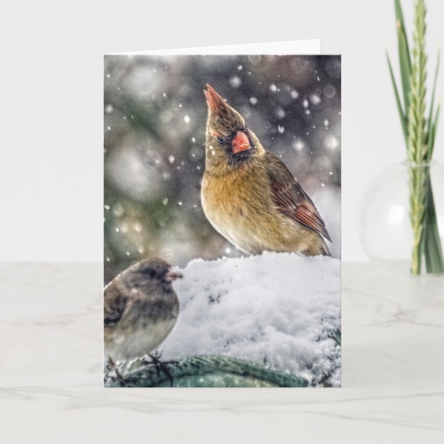 I've Got my Eye on You Holiday Card (Front)