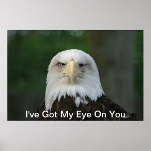 I've Got My Eye On You, One-Eyed Eagle Poster