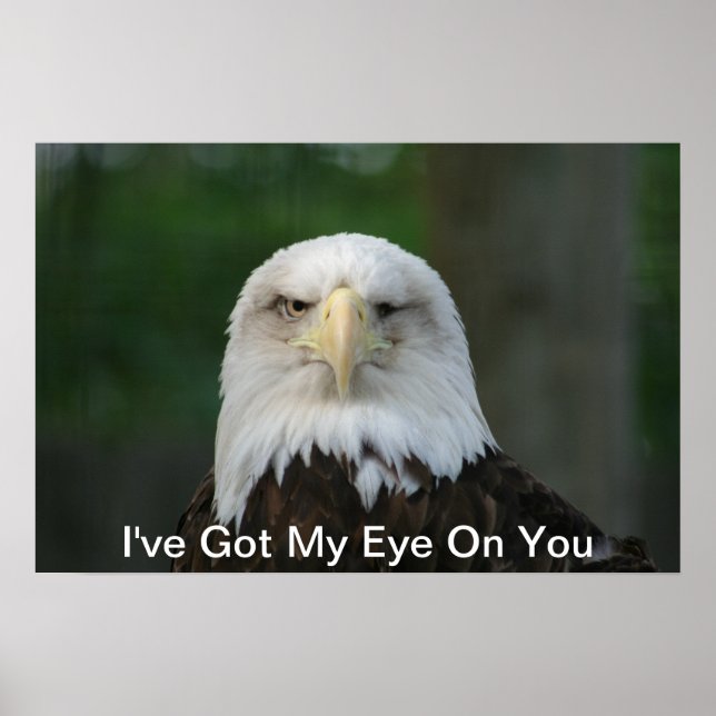 I've Got My Eye On You, One-Eyed Eagle Poster (Front)