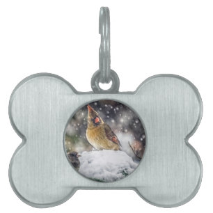 I've Got my Eye on You Pet Tag