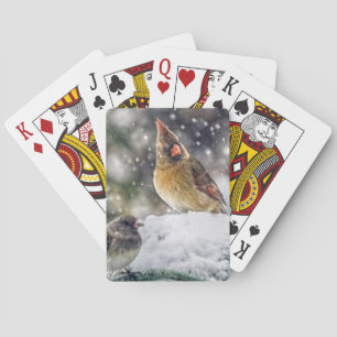 I've Got my Eye on You Playing Cards