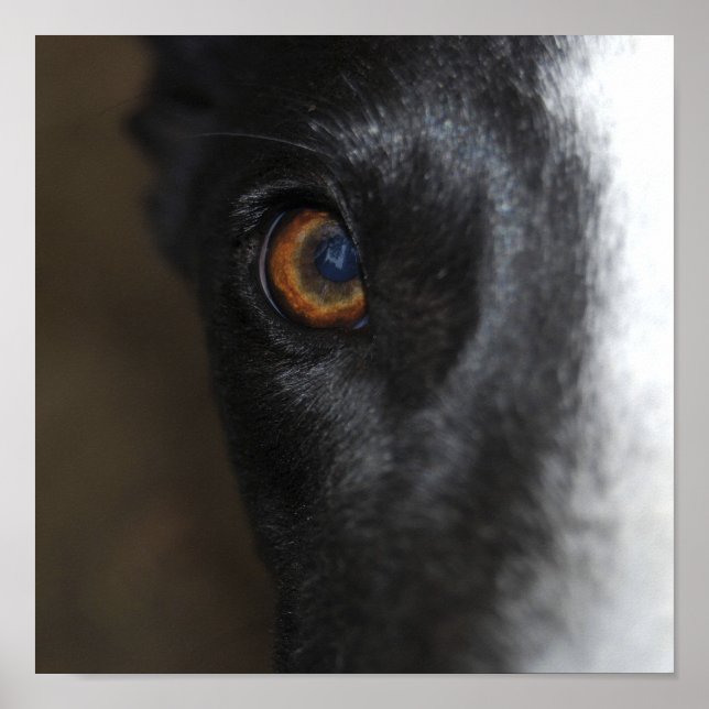 I've got my eye on you -Poster Poster (Front)