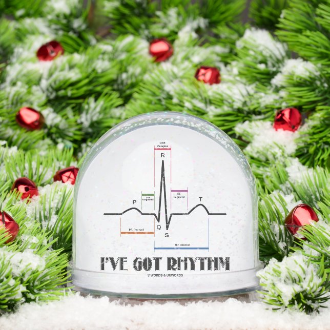 I've Got Rhythm ECG EKG Electrocardiogram Snowglobe (Christmas)