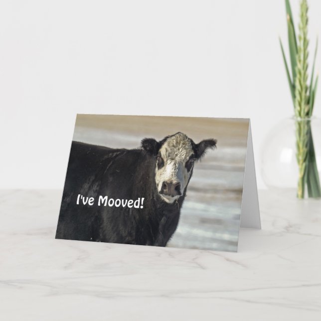 I've Mooved! Greeting Card (Front)
