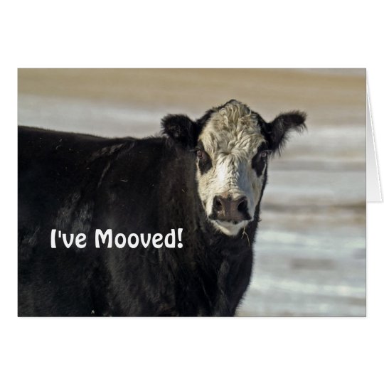 I've Mooved! Greeting Card