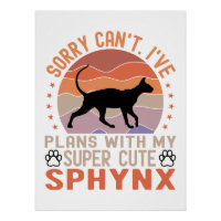 I've plans with my Sphynx cat