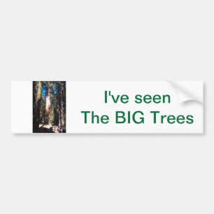 I've Seen the BIG Trees Bumper Sticker