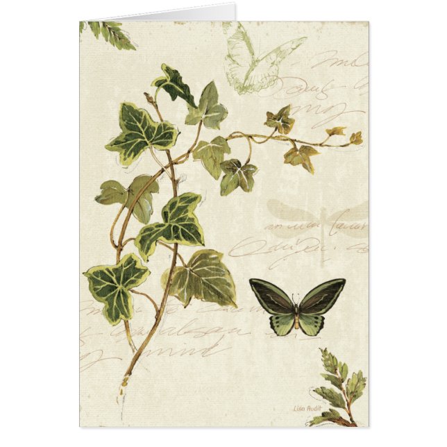 Ivies and Butterflies (Front)