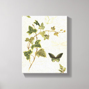 Ivies and Butterflies Canvas Print