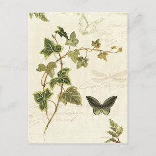 Ivies and Butterflies Postcard