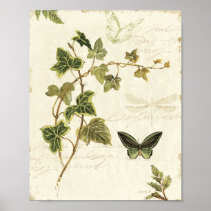 Ivies and Butterflies Poster