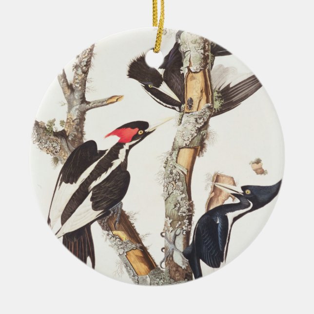 Ivory-billed Woodpecker, 1829, (print) Ceramic Tree Decoration (Front)