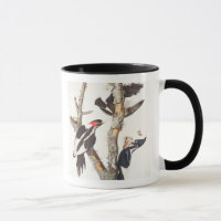 Ivory-billed Woodpecker, 1829, (print)
