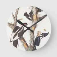 Ivory-billed Woodpecker, 1829, (print)