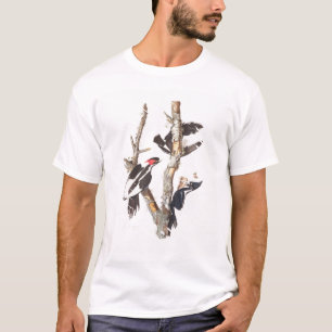 Ivory-billed Woodpecker, 1829, (print) T-Shirt