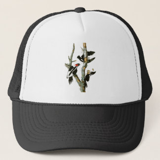 Ivory-billed Woodpecker Audubon Birds of America Trucker Hat