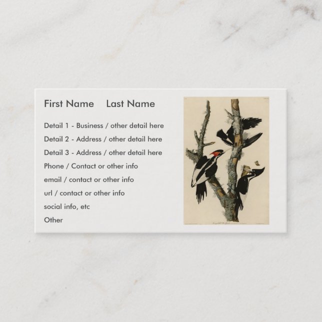 Ivory-billed Woodpecker Audubon's Birds of America Business Card (Front)