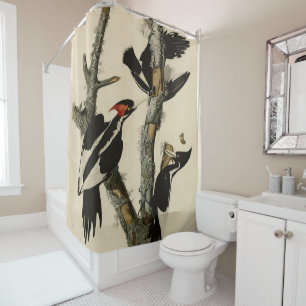 Ivory-billed Woodpecker Audubon's Birds of America Shower Curtain