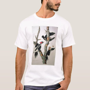 Ivory-billed Woodpecker, from 'Birds of America' T-Shirt