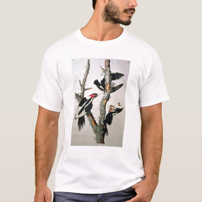Ivory-billed Woodpecker, from 'Birds of America' T-Shirt (Front)