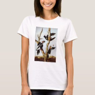 Ivory-Billed Woodpeckers T-Shirt