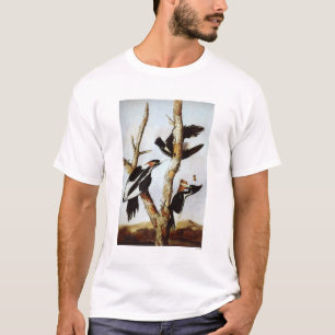 Ivory-Billed Woodpeckers T-Shirt