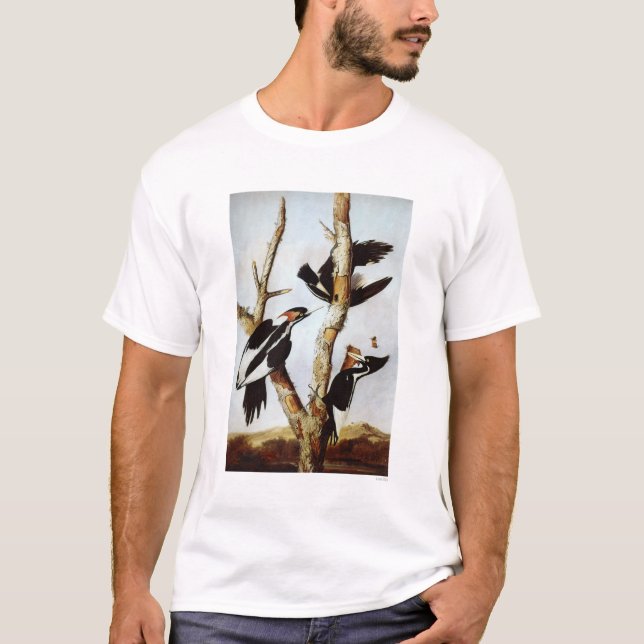 Ivory-Billed Woodpeckers T-Shirt (Front)