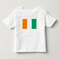 Ivory Coast Flag