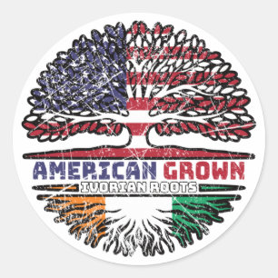 Ivory Coast Ivorian American USA Tree Roots Flag Classic Round Sticker