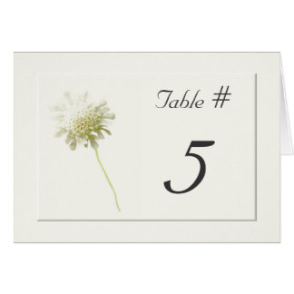 Ivory Dandelion Floral Wedding Table Numbers