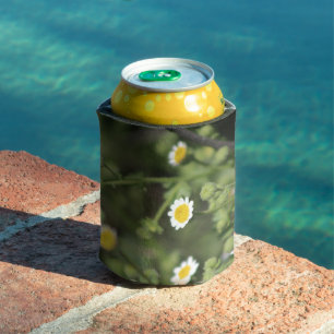 Ivory Desert Rock Daisy Wildflowers Coachella Can Cooler
