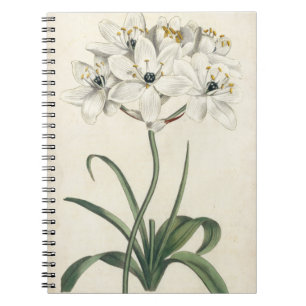 Ivory Garden Notebook