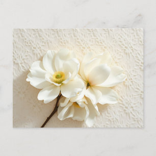 Ivory Lace with White Magnolia Postcard