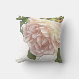 Ivory peach roses cushion