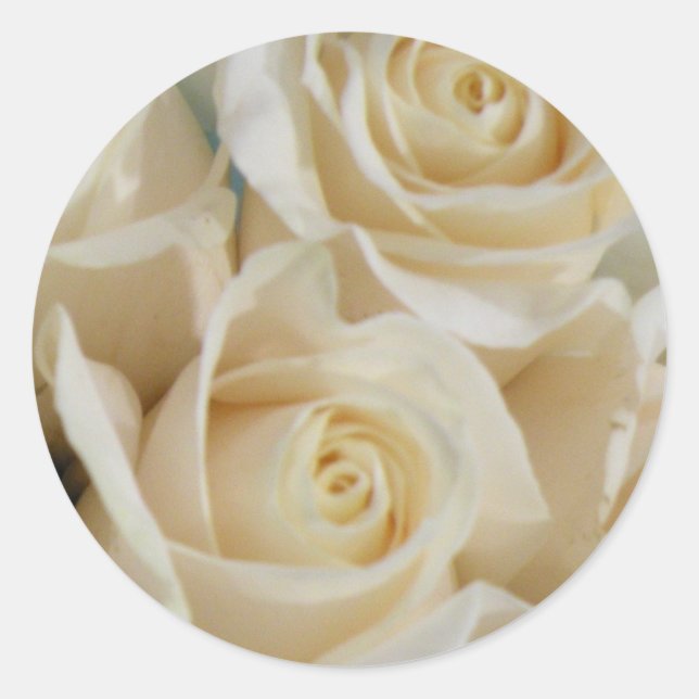 Ivory Rose Stickers (Front)