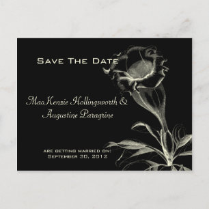 Ivory Sketched Flower on Black Save The Date Announcement Postcard