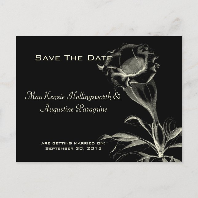 Ivory Sketched Flower on Black Save The Date Announcement Postcard (Front)