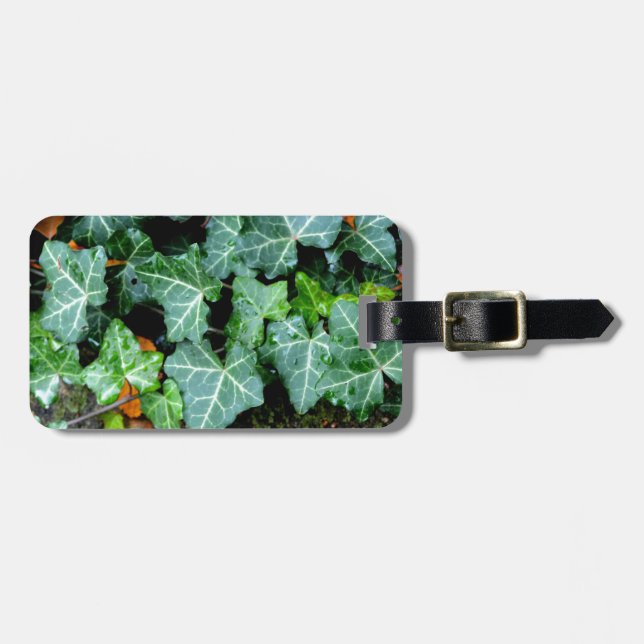 Ivy and field stone luggage tag (Front Horizontal)