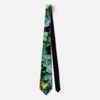 Ivy and field stone neck tie