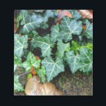 Ivy and field stone notepad<br><div class="desc">Walk down the garden path - ivy and fieldstone wall</div>
