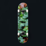 Ivy and field stone skateboard<br><div class="desc">Walk down the garden path - ivy and fieldstone wall</div>