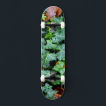 Ivy and field stone skateboard<br><div class="desc">Walk down the garden path - ivy and fieldstone wall</div>