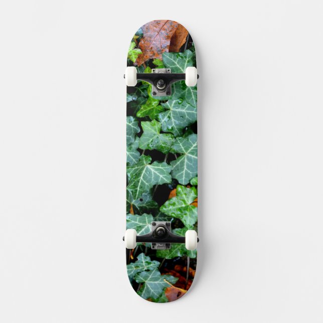 Ivy and field stone skateboard (Front)
