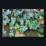 Ivy and field stone tea towel<br><div class="desc">Walk down the garden path - ivy and fieldstone wall</div>