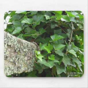 Ivy and Lichens - Martha's Vineyard Mouse Mat