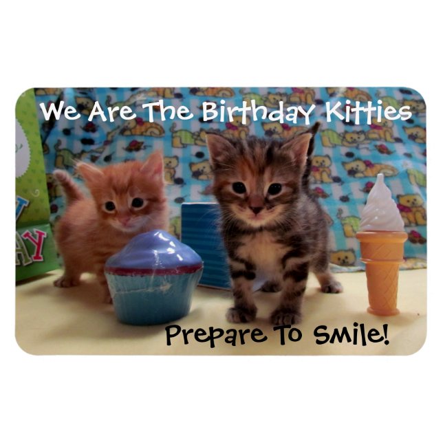 Ivy and Parker's Birthday Magnet - Cat / Kitten (Horizontal)