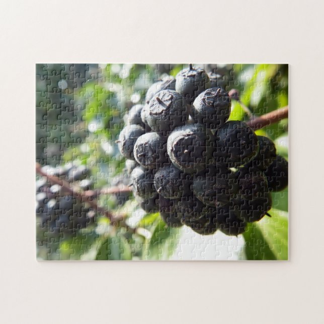 Ivy Berries Jigsaw Puzzle (Horizontal)
