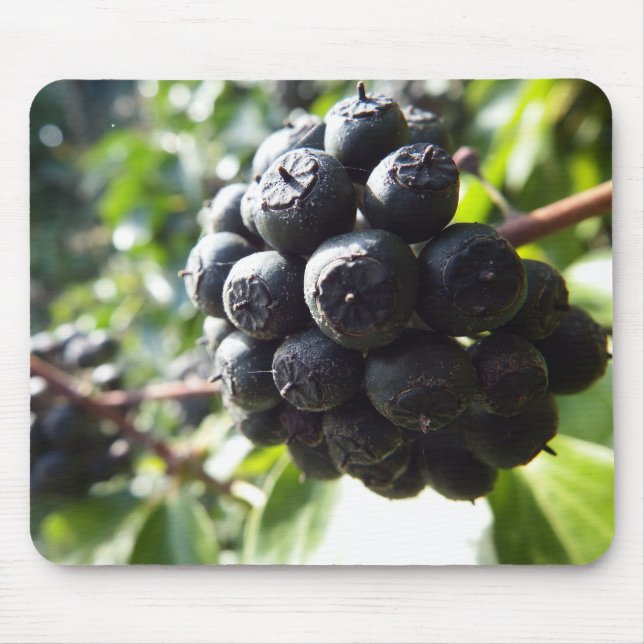 Ivy Berries Mousepad (Front)