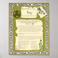 IVY CELTIC SACRED TREE